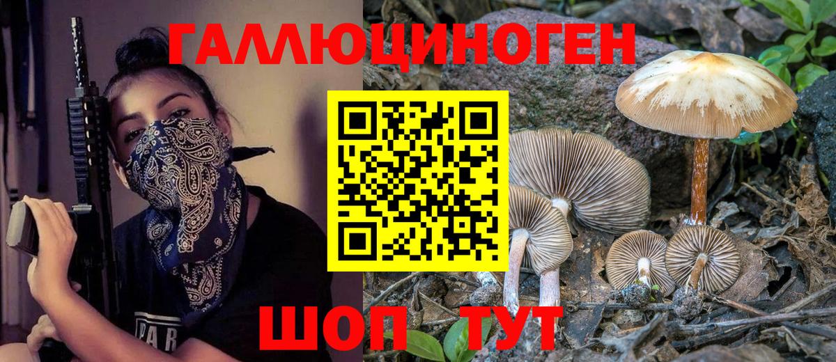 Псилоцибиновые грибы прущие грибы Советская Гавань