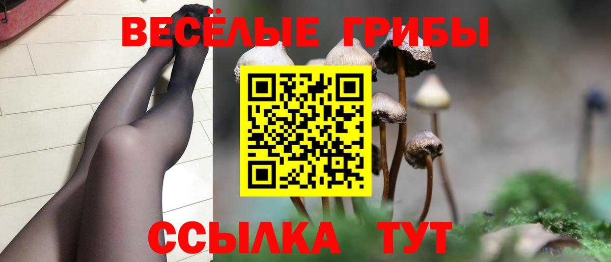 Советская Гавань  Псилоцибиновые грибы ЛСД  Вход с VPN 
